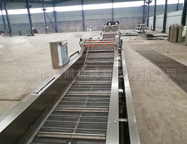 果蔬清洗流水線清洗效率高節(jié)省勞動力